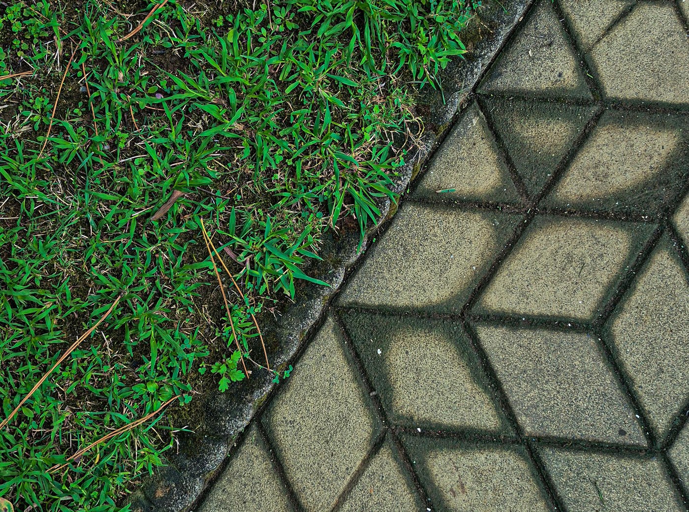 Crisp lawn edge beside a paver walkway